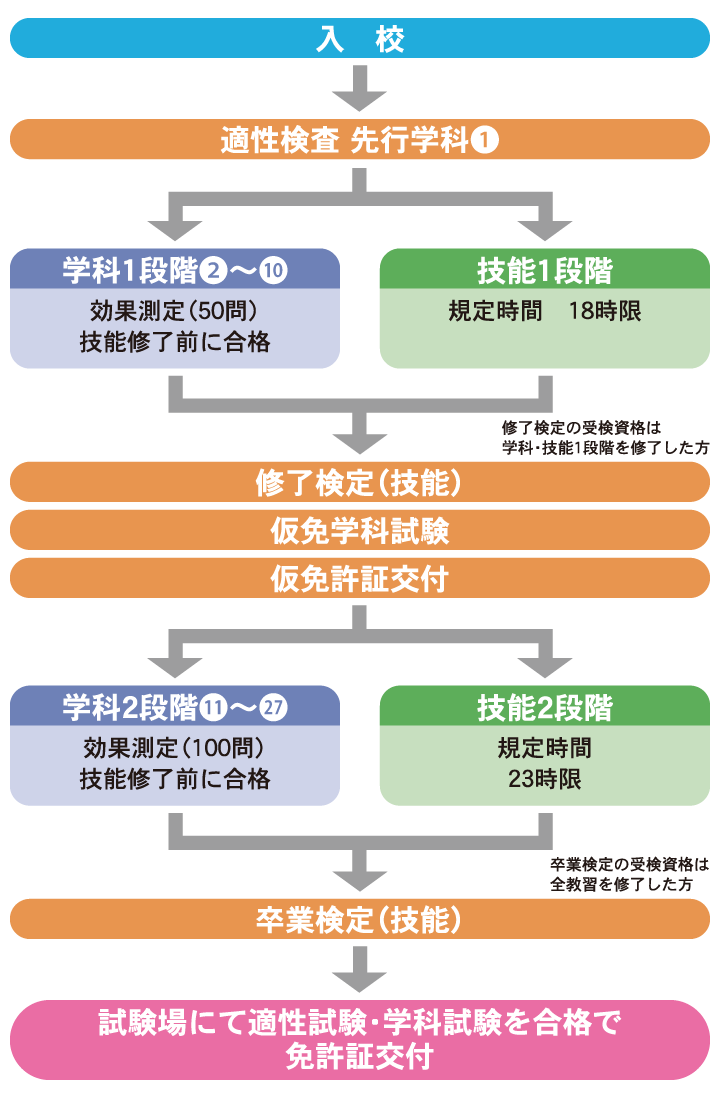 中型 は と 準 免許