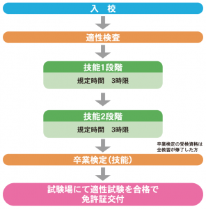 大特車免許取得の流れ
