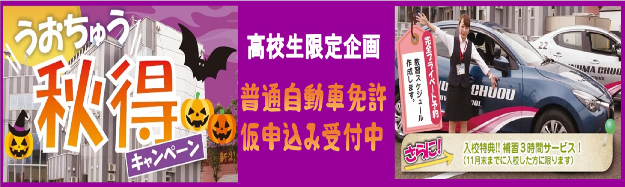 新車導入